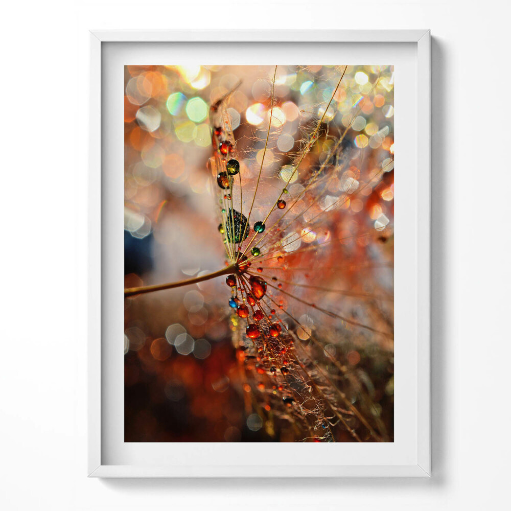 Keretezett kép Fújó és harmat