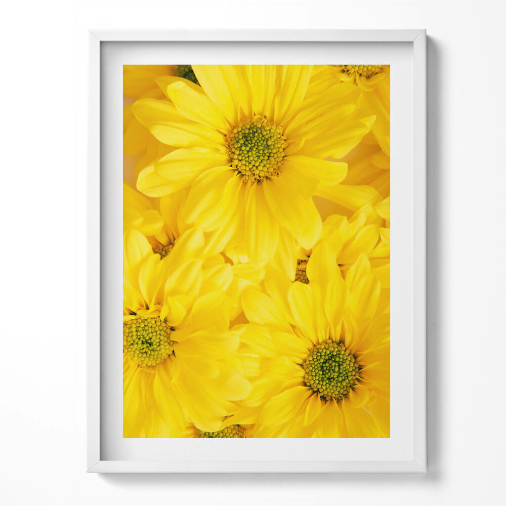 Keretezett kép Virágszirmok