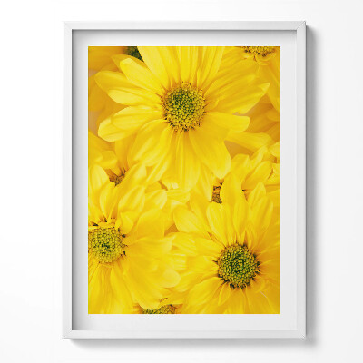 Keretezett kép Virágszirmok