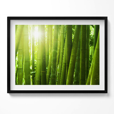 Kép keretben Zöld bambuszerdő napfény
