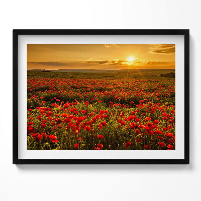 Kép keretben Vörös pipacsmező naplementében