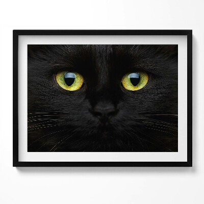 Kép keretben Fekete macska arca zöld szemekkel
