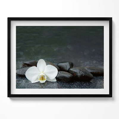 Kép keretben Fehér virág és sima kövek
