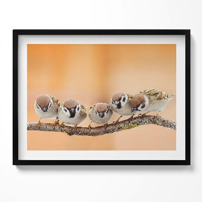 Kép keretben Cinkék egy ágon