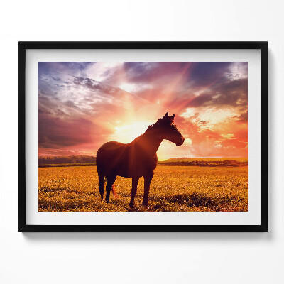 Kép keretben Fekete ló naplementében