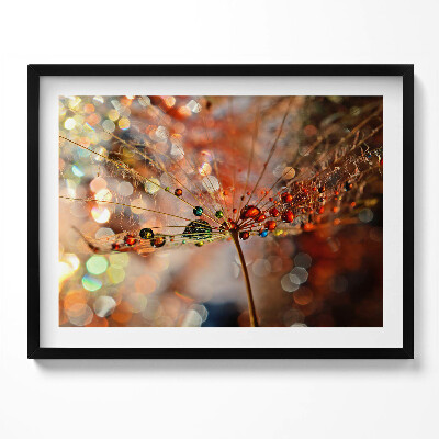 Kép keretben Vizes cseppekkel díszített növényi levél