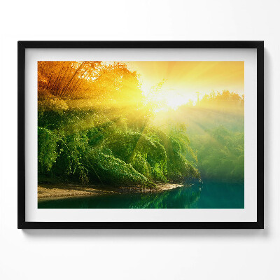 Kép keretben Napfényes erdei táj