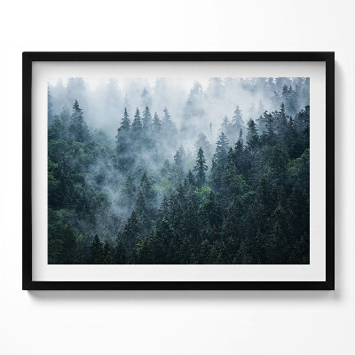 Kép keretben Füves ködös erdő