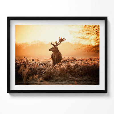 Kép keretben Szarvas naplementében