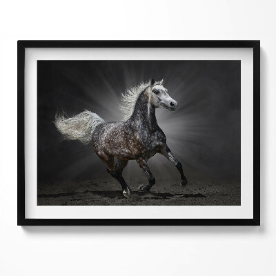 Kép keretben Futó ló fényes háttérrel