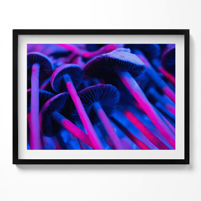 Kép keretben Fényes gombák élénk színek