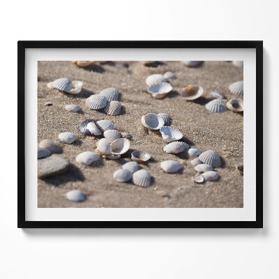 Kép keretben Héjhéjak tengerparti homokban