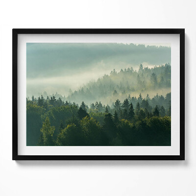 Kép keretben Ködös erdő táj