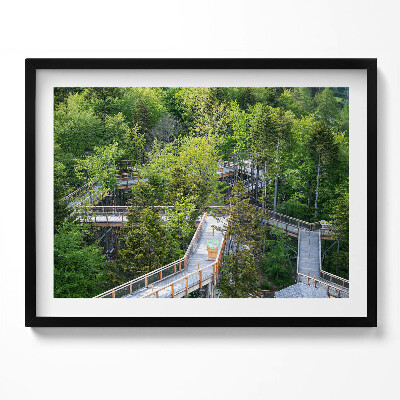 Kép keretben Zöld fák és fapalló