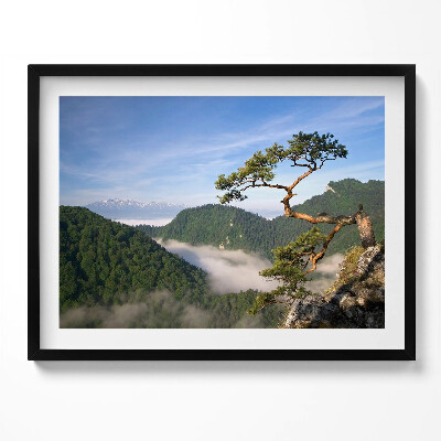 Kép keretben Hegyek és fák ködben