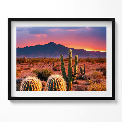 Kép keretben Sivatagi táj kaktuszok naplemente