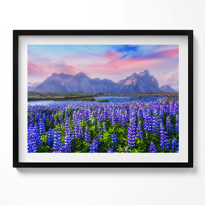 Kép keretben Lepkék és hegyek virágzó mezője