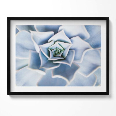 Kép keretben Zöld színű pozsgás növény