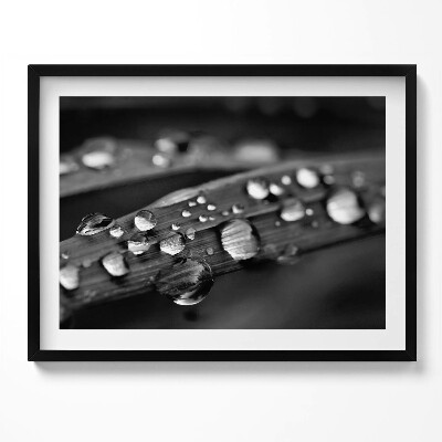 Kép keretben Esőcseppek egy levélen