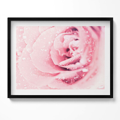 Kép keretben Rózsaszín rózsa vízcseppekkel