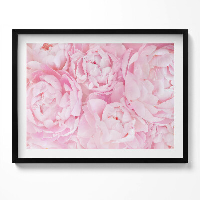 Kép keretben Rózsaszínű pünkösdi rózsák