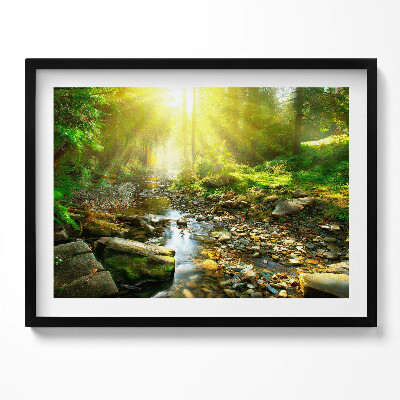 Kép keretben Zöld erdő napfény patak