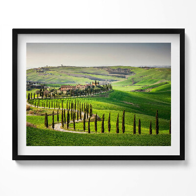 Kép keretben Toszkán táj ciprusfák sorai