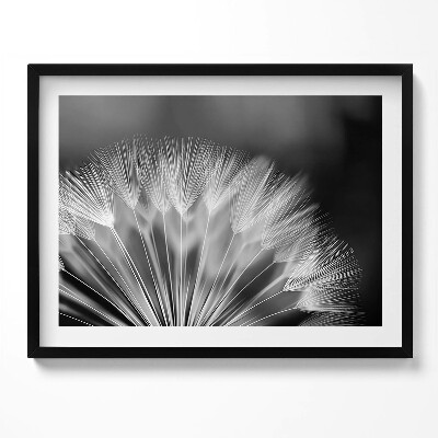 Kép keretben Pálmalevél részlete fekete-fehér