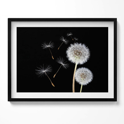 Kép keretben Pipacsok és lebegő magok