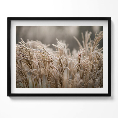 Kép keretben Fagyott fűszálak természetes táj