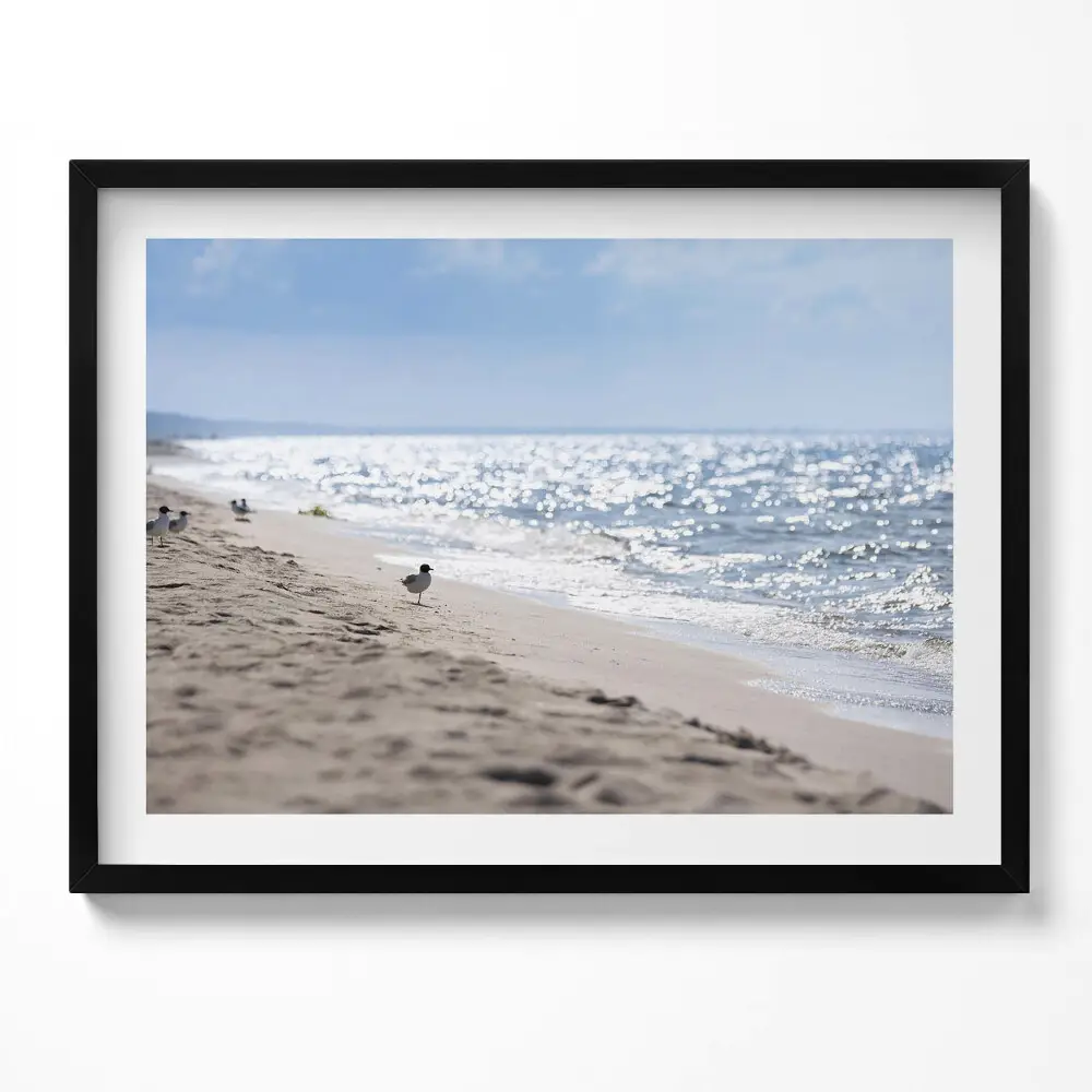 Kép keretben Tengerparti táj madár a homokban