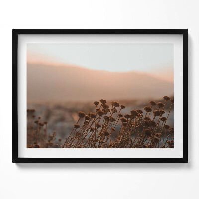 Kép keretben Száradó virágok a háttérben