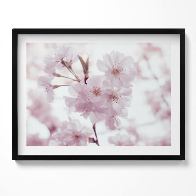 Kép keretben Cseresznyevirágok ága