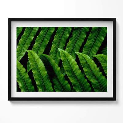 Kép keretben Zöld levelek mintázata