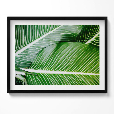 Kép keretben Zöld levelek közelről