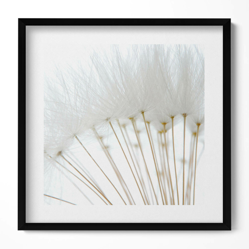 Keretezett falikép Puhaszálú növények csoportja