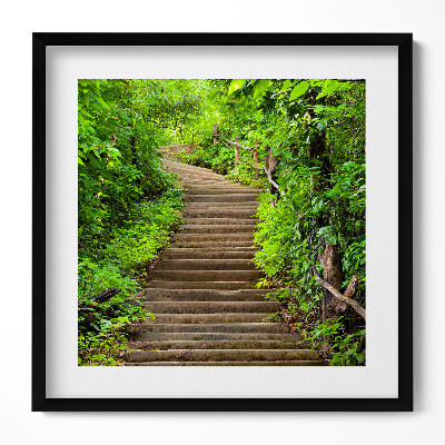 Keretezett falikép Zöldellő lépcsősor természetben