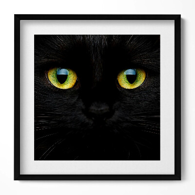 Keretezett falikép Fekete macska arca zöld szemekkel