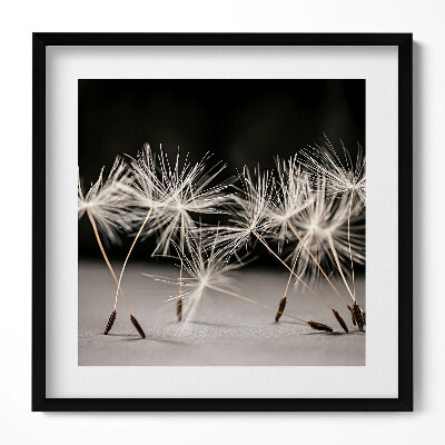 Keretezett falikép Pillecukor virágok közelről