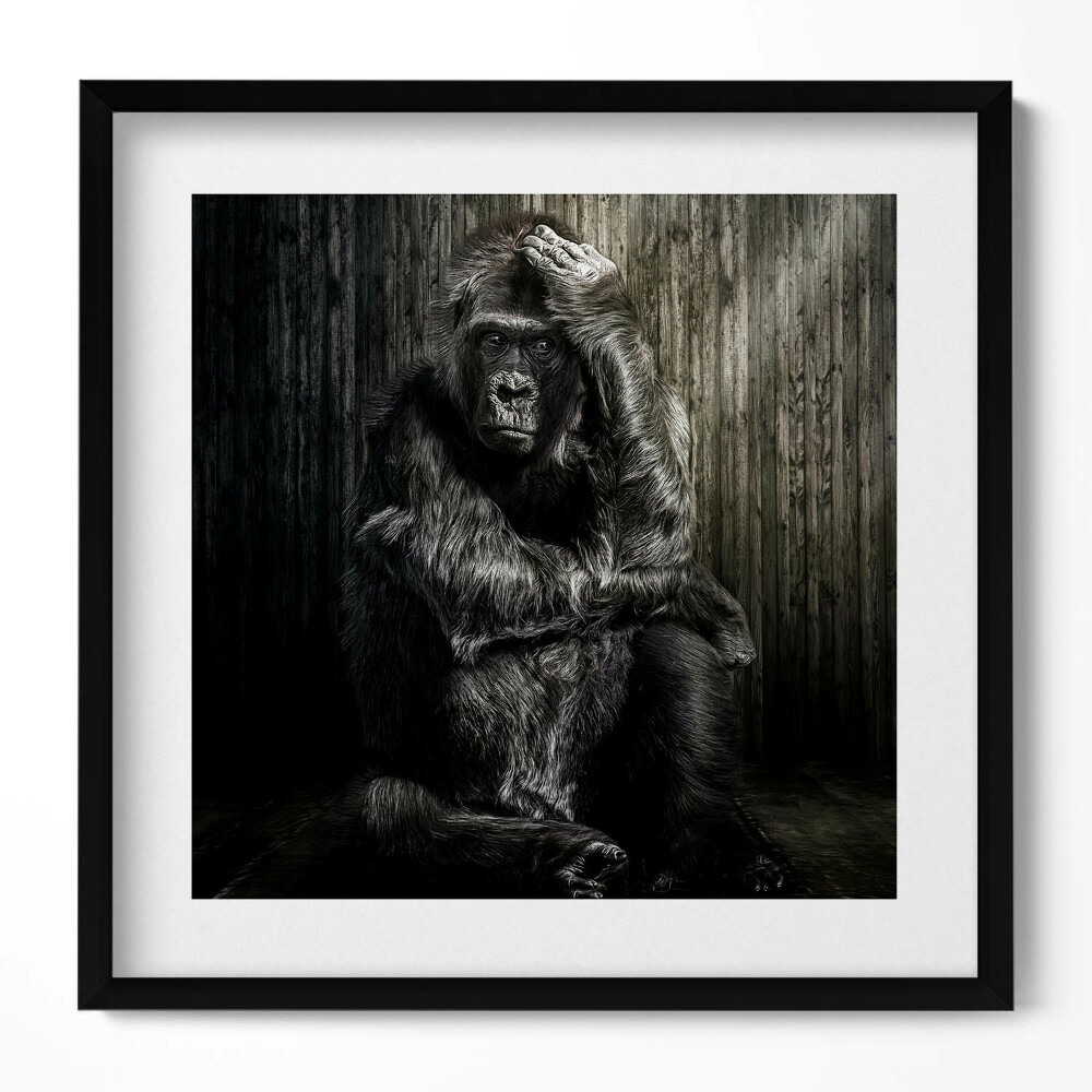 Keretezett falikép Gorilla gondolkodó pózban