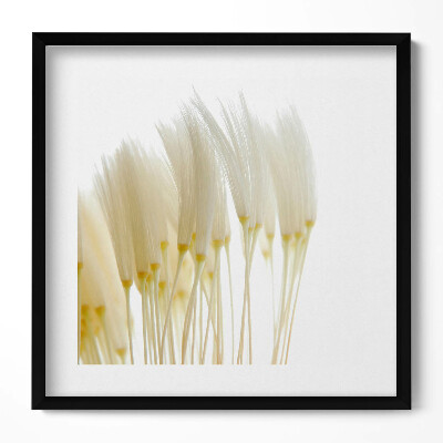 Keretezett falikép Fehér virágok csoportja