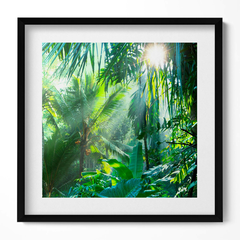 Keretezett falikép Zöld trópusi növényzet napfény