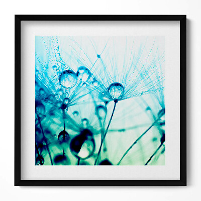 Keretezett falikép Vizes cseppek és növényi motívum