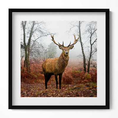 Keretezett falikép Szarvas ködös erdőben