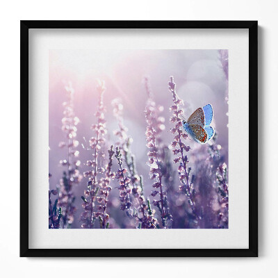 Keretezett falikép Lila virágok és pillangó