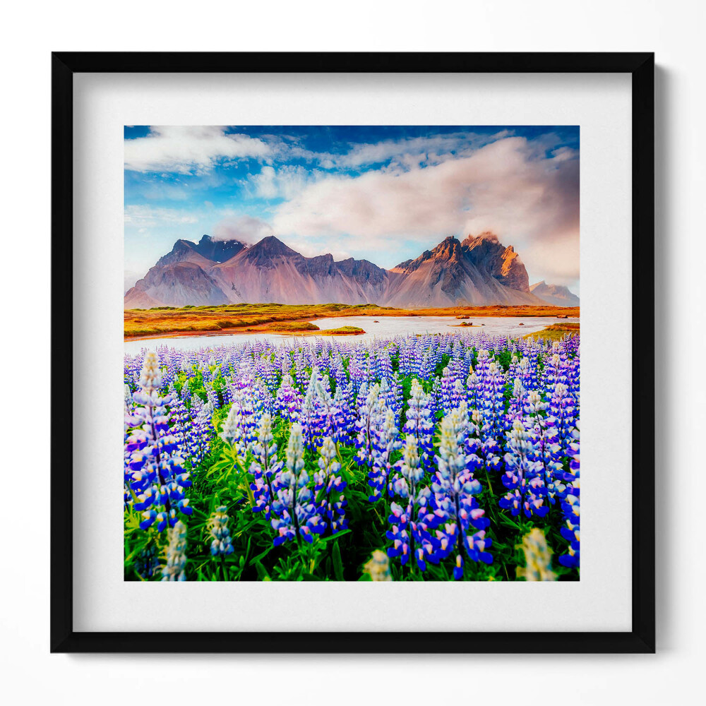 Keretezett falikép Lupinok virágzó mezője hegyekkel