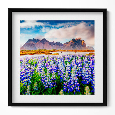 Keretezett falikép Lupinok virágzó mezője hegyekkel