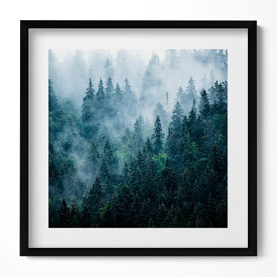 Keretezett falikép Füves ködös erdő