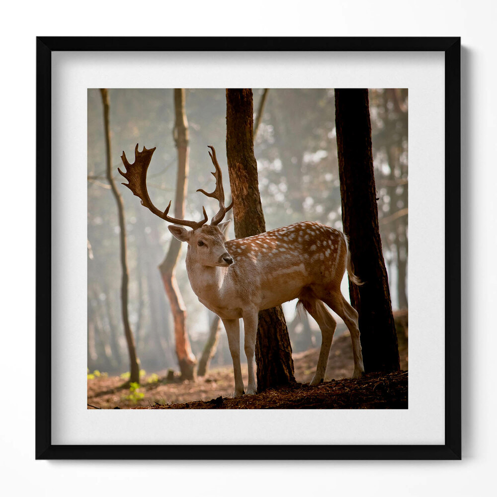 Keretezett falikép Szarvas az erdőben