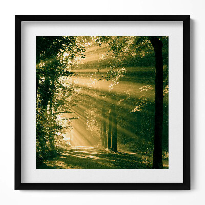 Keretezett falikép Fényárban úszó erdei ösvény